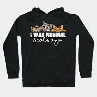 Cat Lover Funny Gift - I Was Normal 3 Cats Ago Hoodie